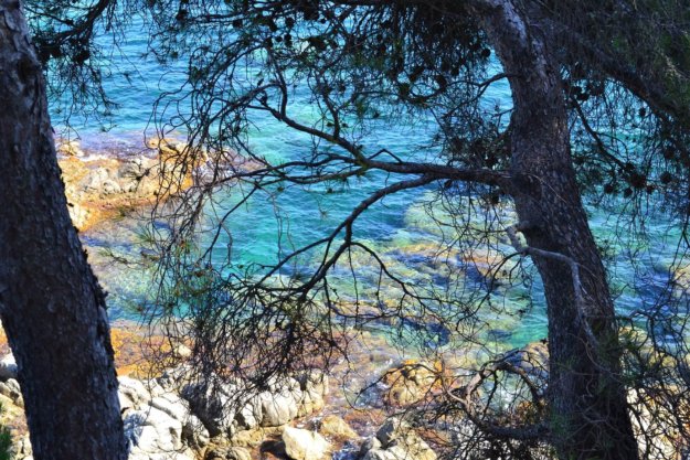 BlogCanMiquel-setembre-costa brava