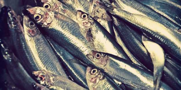 CanMiquelRestaurant-productes-empordà